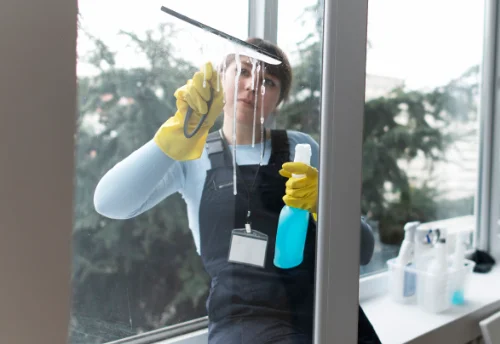 Nettoyage de vitres intérieures et extérieures à Saint-Georges-sur-la-Prée